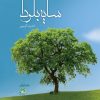 کتاب سایه بلوط